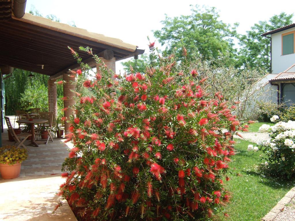 Agriturismo Quartopodere Magliano in Toscana Buitenkant foto